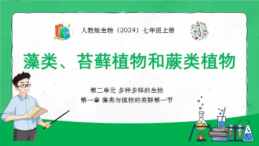 1.1 藻类、苔藓植物和蕨类植物 课件-人教版七年级上册