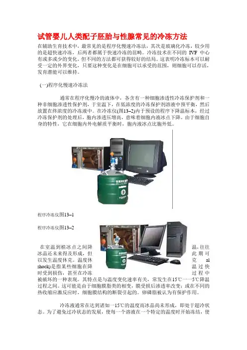 试管婴儿人类配子胚胎与性腺常见的冷冻方法