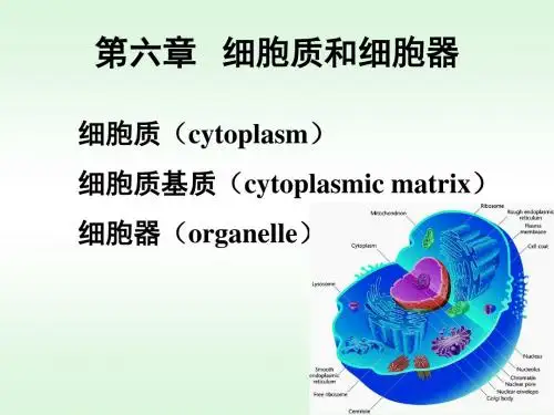 细胞生物学第六章第三节《细胞内膜系统》