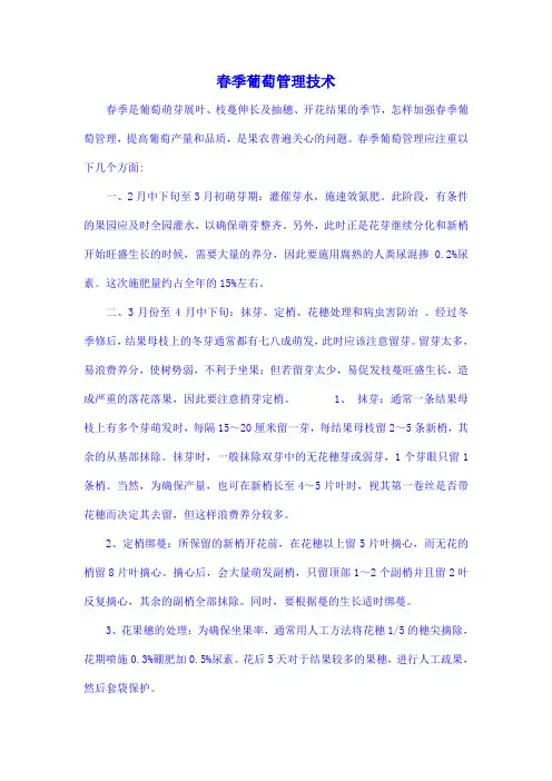 宾川县春季葡萄管理技术