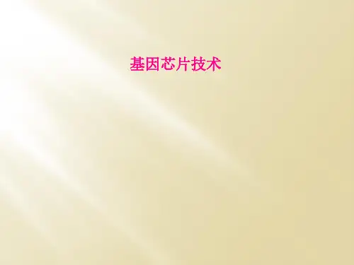 基因芯片技术