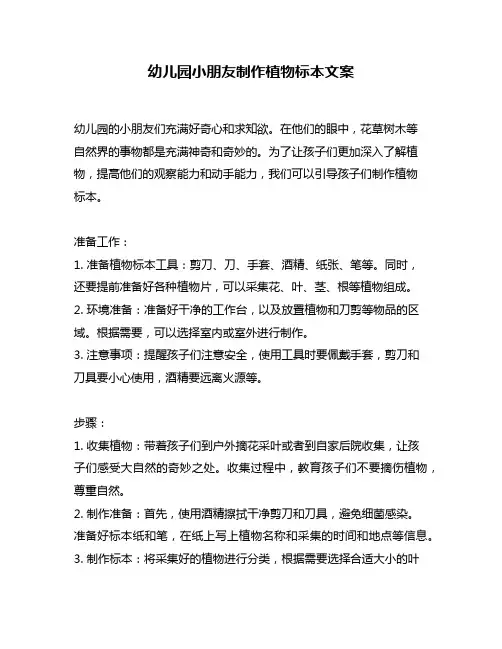幼儿园小朋友制作植物标本文案