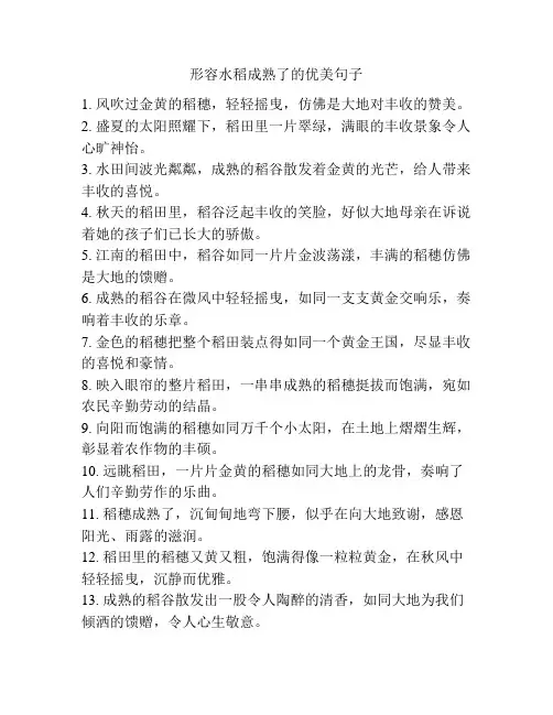 形容水稻成熟了的优美句子