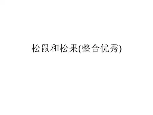 松鼠和松果(整合优秀)