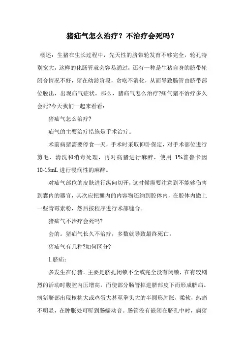 猪疝气怎么治疗？不治疗会死吗？.doc