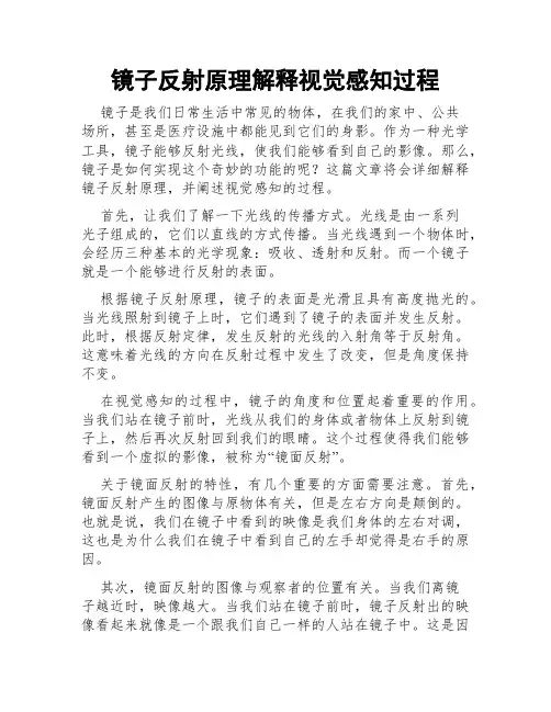镜子反射原理解释视觉感知过程