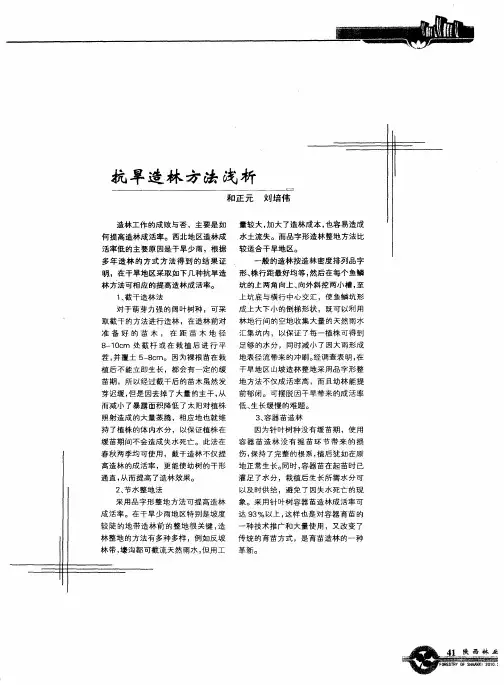 抗旱造林方法浅析