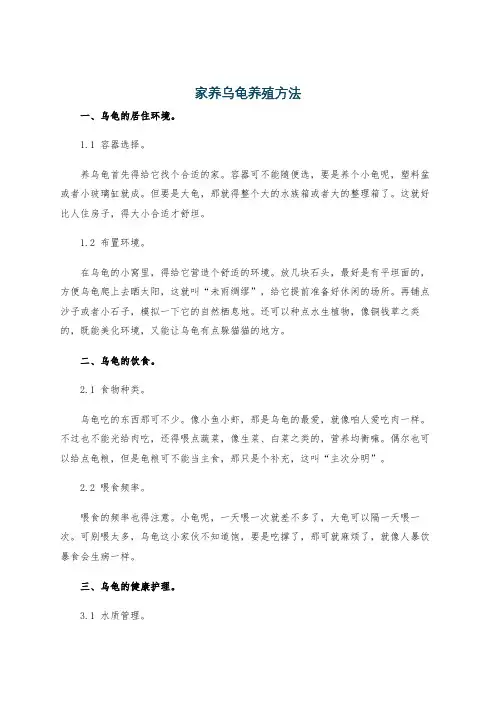 家养乌龟养殖方法