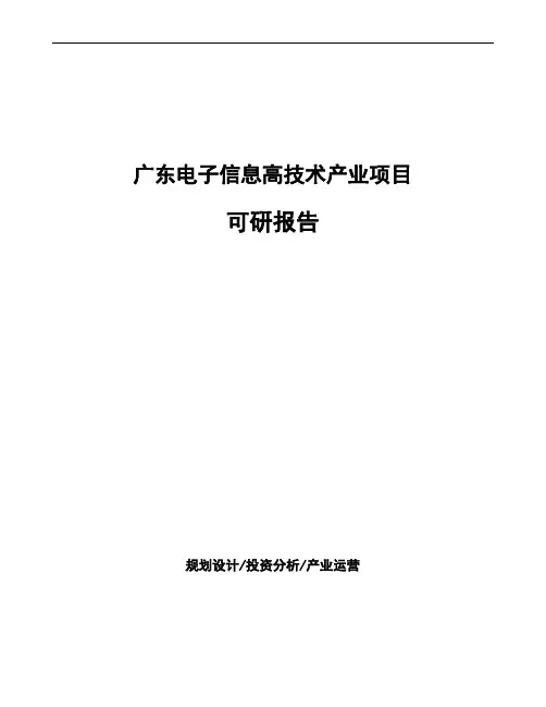 广东电子信息高技术产业项目可研报告