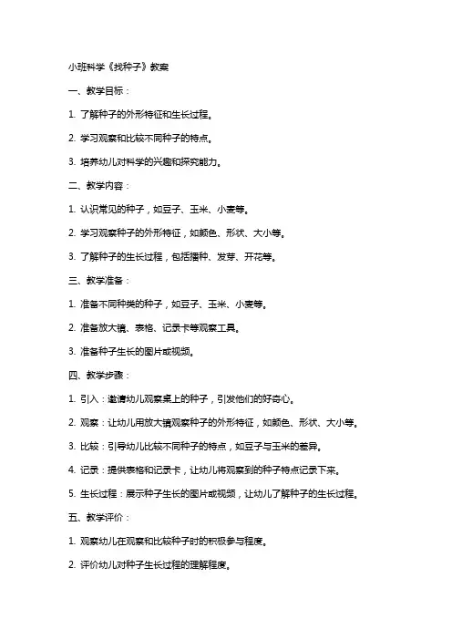 小班科学《找种子》教案