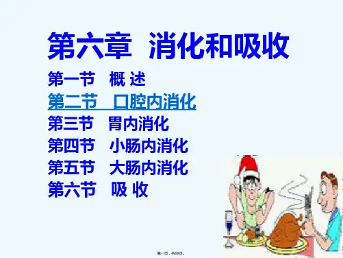 《消化和吸收》PPT课件