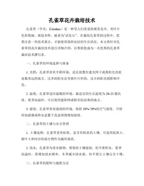 孔雀草花卉栽培技术