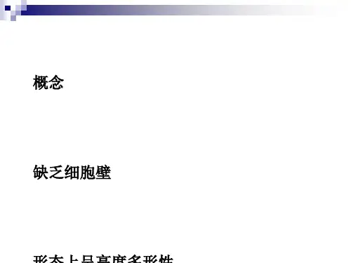 支原体,衣原体,立克次体,螺旋体