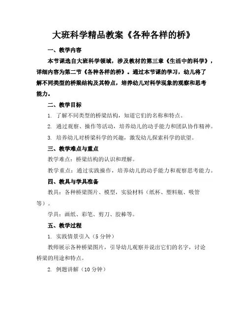 大班科学精品教案《各种各样的桥》