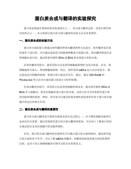 蛋白质合成与翻译的实验探究