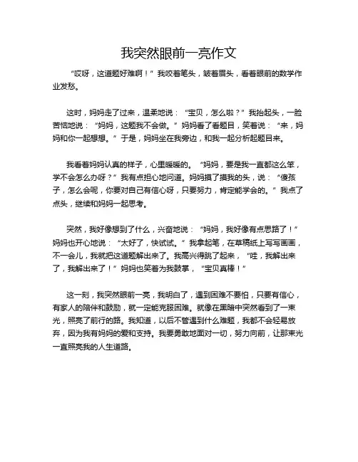 我突然眼前一亮作文