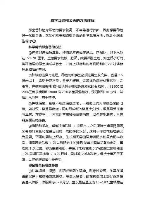 科学栽培郁金香的方法详解