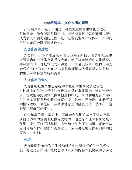 六年级科学光合作用的解释 (2)
