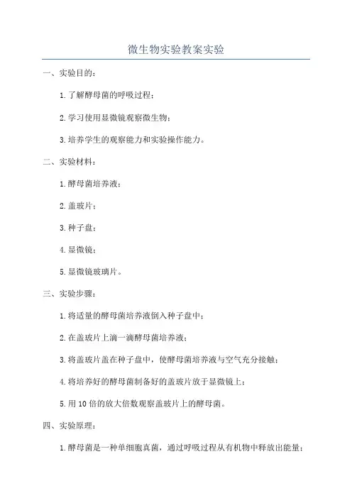 微生物实验教案实验