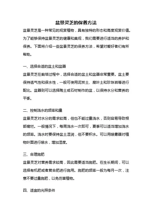 盆景灵芝的保养方法