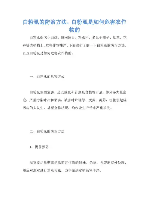 白粉虱的防治方法,白粉虱是如何危害农作物的