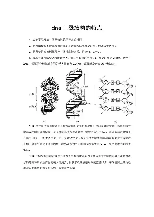 dna二级结构的特点