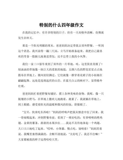 特别的什么四年级作文