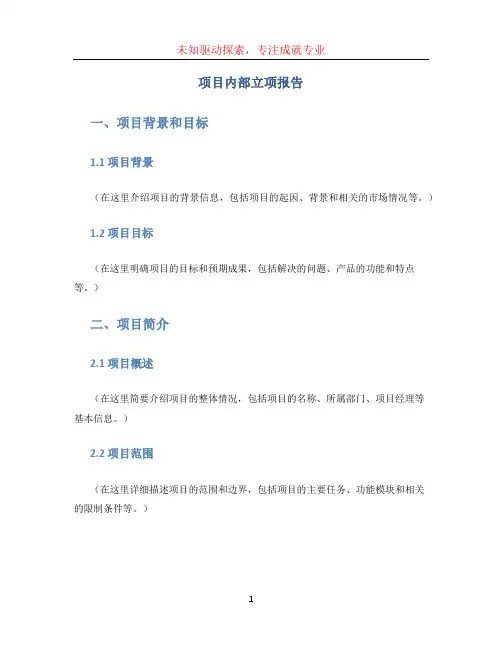 项目内部立项报告