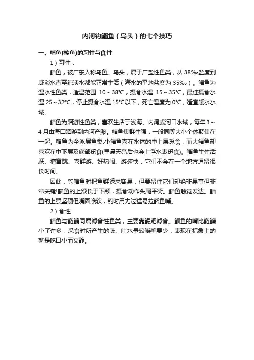 内河钓鲻鱼（乌头）的七个技巧