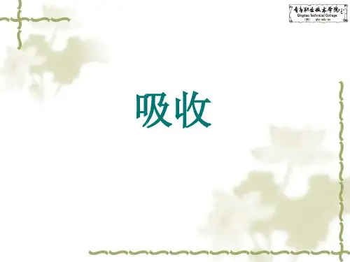 吸收讲课课件