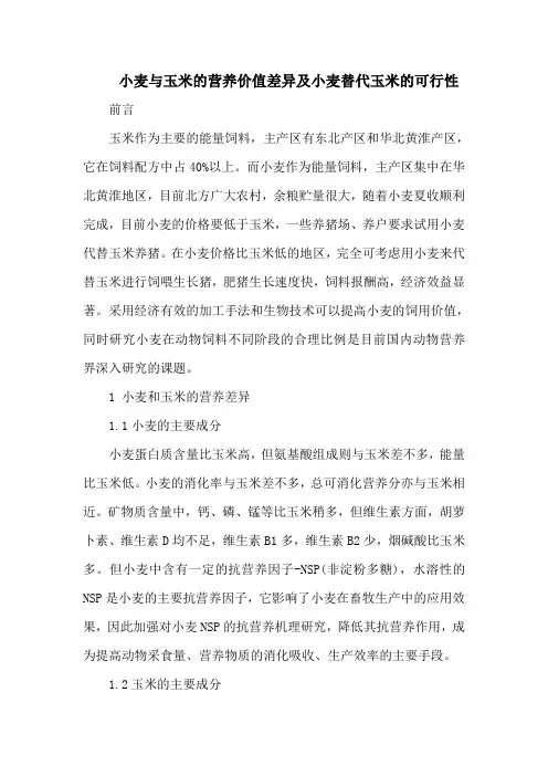 小麦与玉米的营养价值差异及小麦替代玉米的可行性