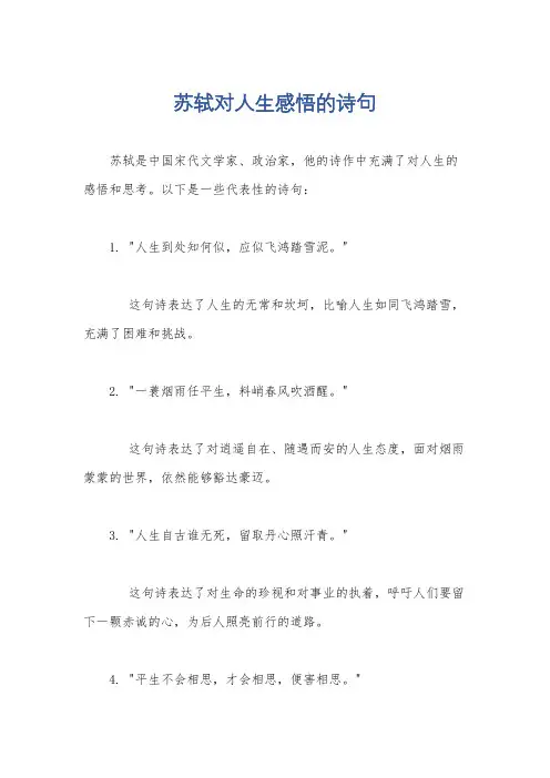 苏轼对人生感悟的诗句