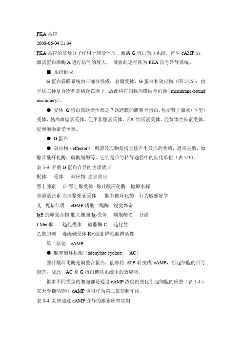 PKA系统