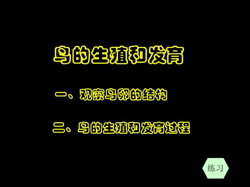 《鸟类的生殖和发育》精品PPT教学课件