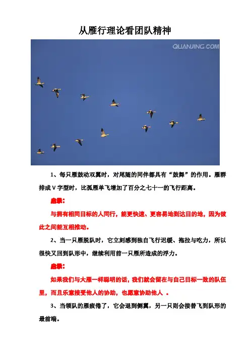 雁行理论