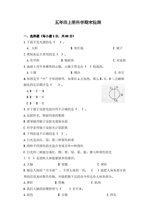 小学五年级科学期末检测