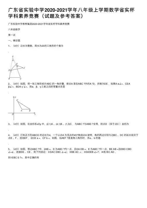 广东省实验中学2020-2021学年八年级上学期数学省实杯学科素养竞赛（试题及参考答案）
