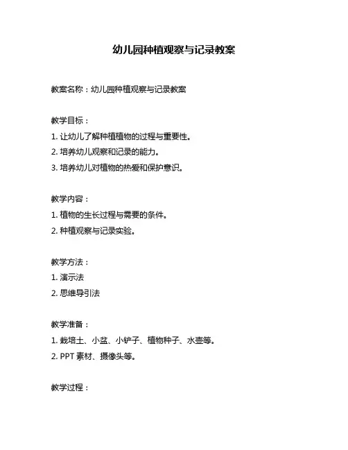 幼儿园种植观察与记录教案