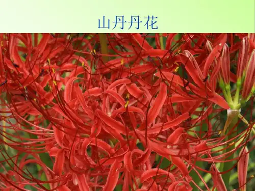 五年综合实践活动课——-家乡特产 课件