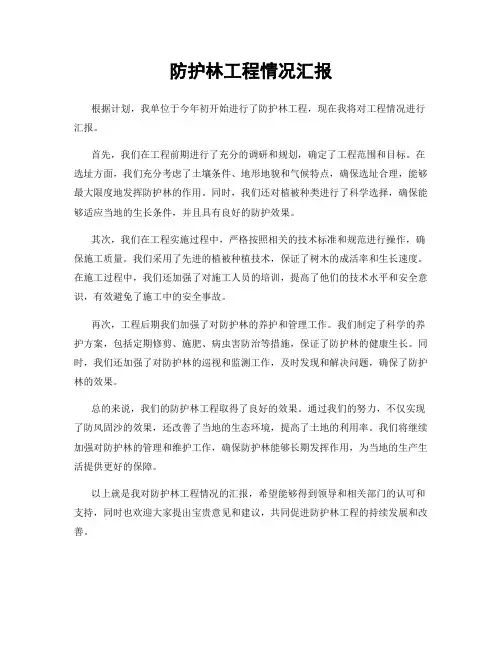 防护林工程情况汇报