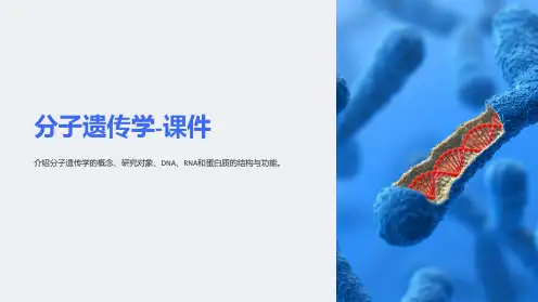 分子遗传学-课件
