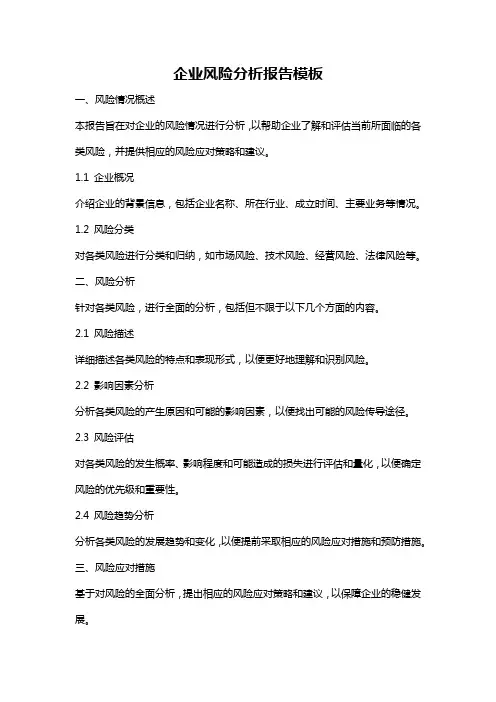 企业风险分析报告模板