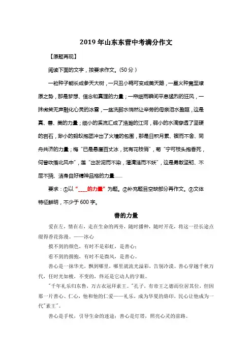 2019年山东东营中考满分作文《善的力量》