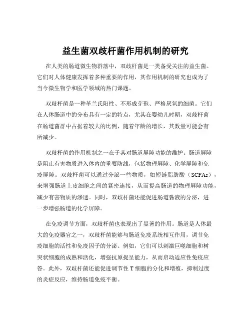 益生菌双歧杆菌作用机制的研究