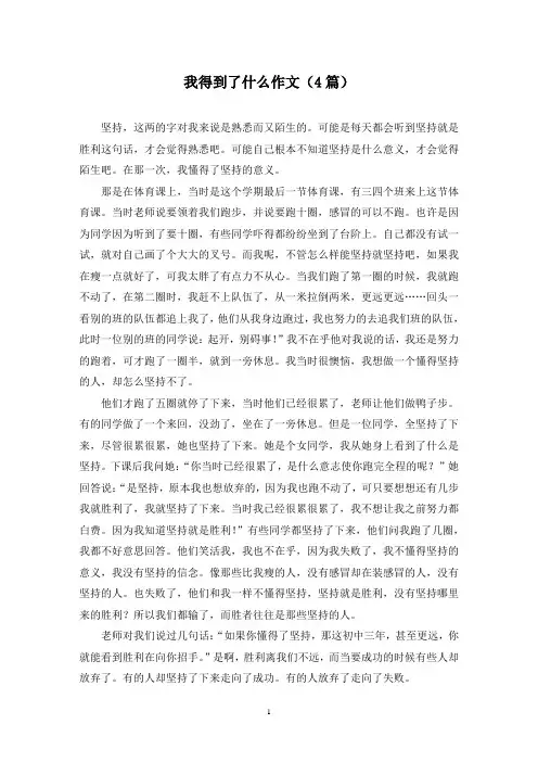 我得到了什么作文(4篇)