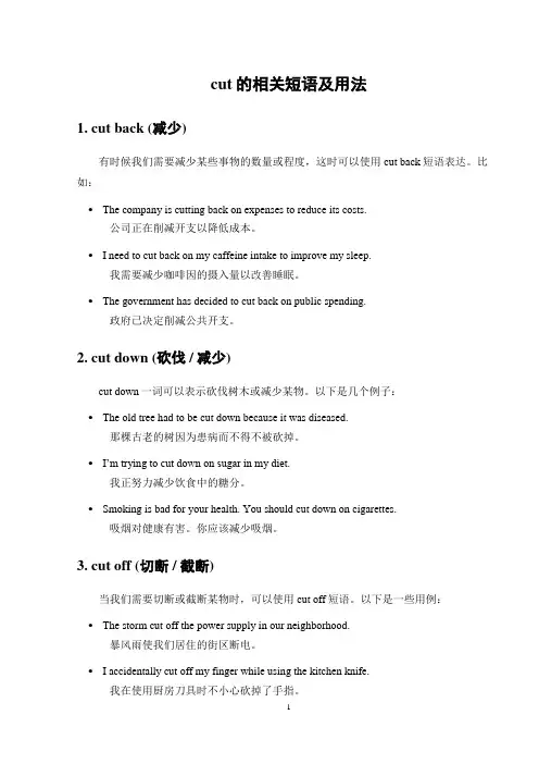 cut的相关短语及用法