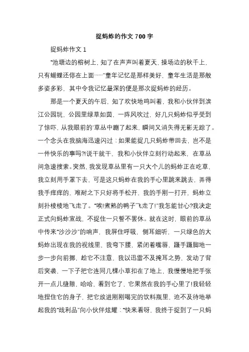 捉蚂蚱的作文700字
