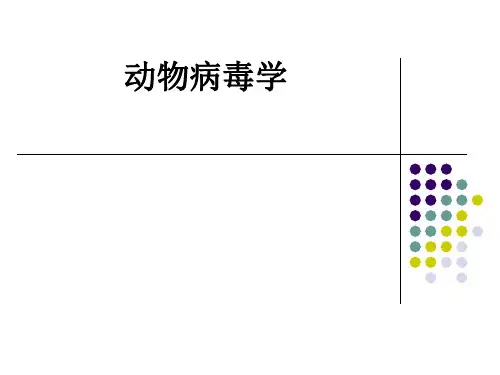 动物病毒学ppt课件