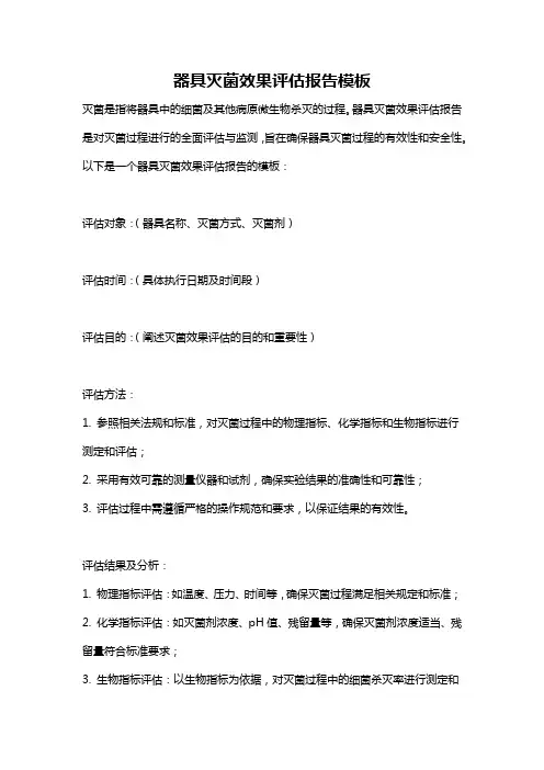 器具灭菌效果评估报告模板