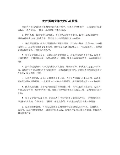 把好蛋鸡育雏关的几点措施